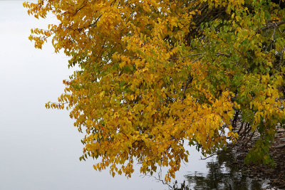 Fall on the Shore