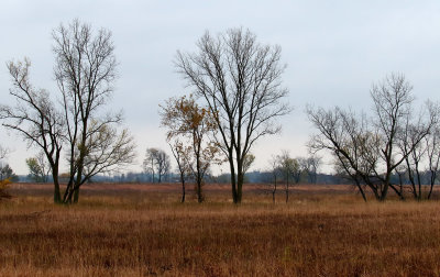 Past Peak Landscape