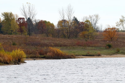 Color on the Quarry