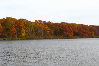 Fall From the Fen