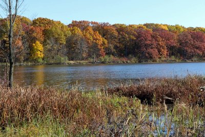 Fall on the Other Side