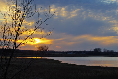 Marsh Sunset