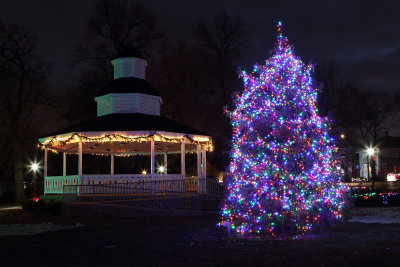 Christmas Tree in the Park