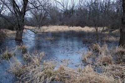 Ice on a Pond