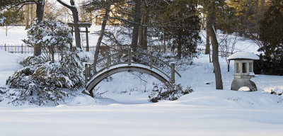 Snow in the Garden