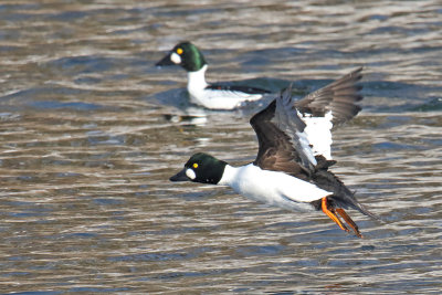 Heading Upriver