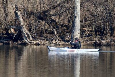 Paddling the Fox