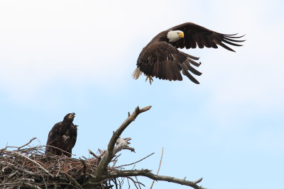 Off and Flying