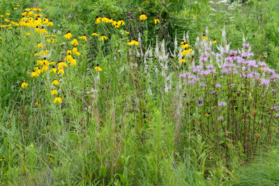 Prairie Palette 