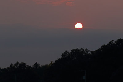 g12/90/147490/3/171821932.7c1U4imA.jpg