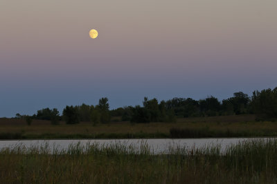 Moon Over the Lake