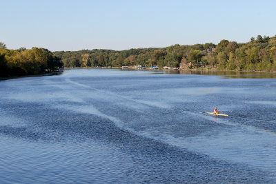 Sculling Up the Fox