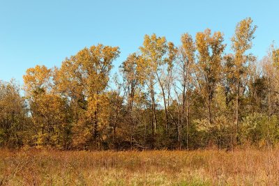 October Colors