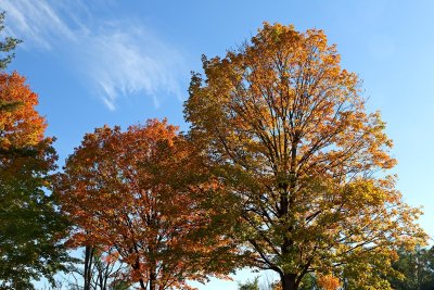 Fine Fall Day