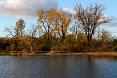 Fall on the Shore