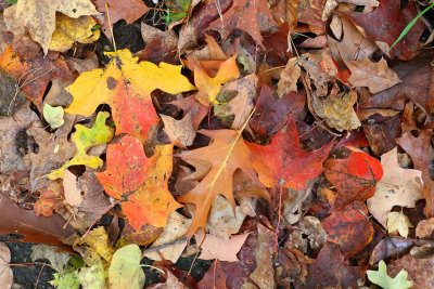 Fall on the Floor