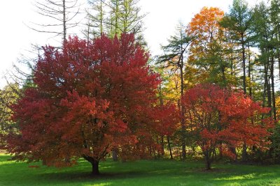 Fall in the Spotlight