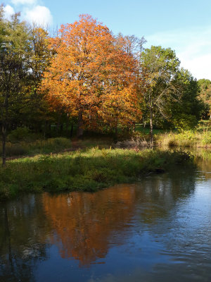 Fall Reflections