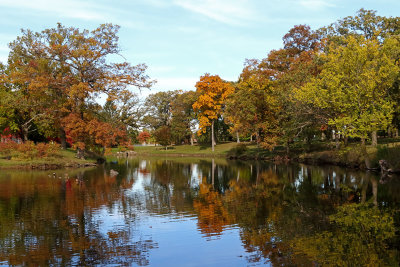 Fall in the Park