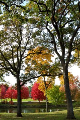 Autumn Pond