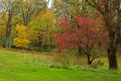 Autumn Slope