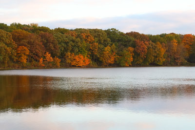 Fall in the Valley