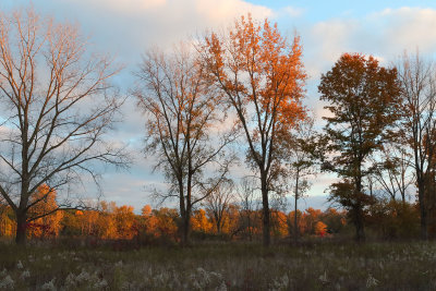 Fall Before Sunset