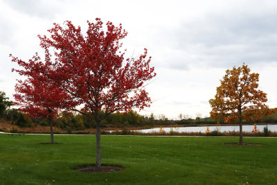 Holding on to Fall