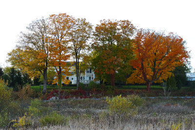 Color on the Hill