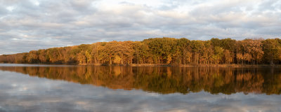 Color Along the Shore