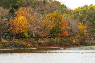 Flowing Past Fall