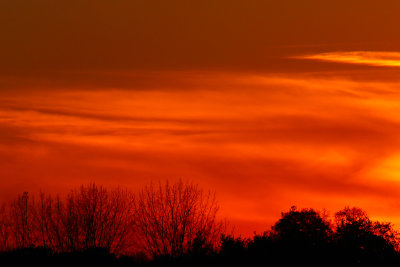 Orange at Sunset