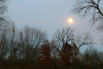 Misty Moonrise