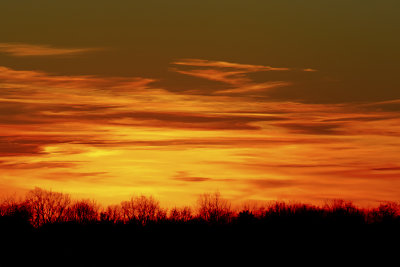 Orange Horizon