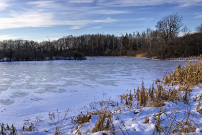 Winter Afternoon