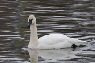 On Open Water