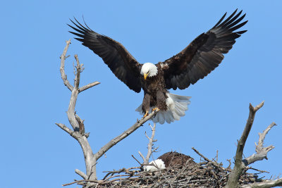 Landing Above