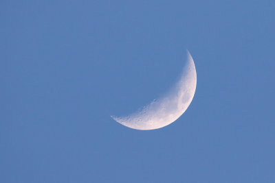 Crescent in the Clear