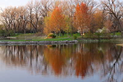 Reflections of Spring