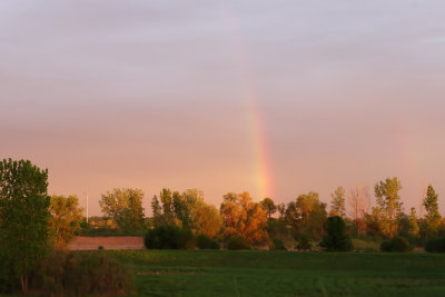 Part of a Rainbow