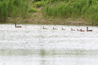 Family Outing