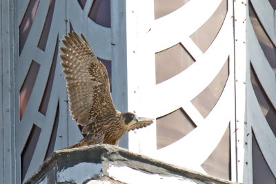 Waiting for the Right Wind