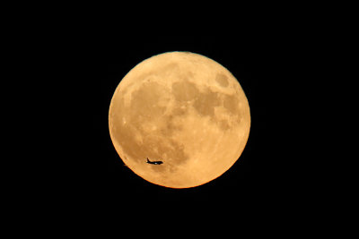 Moon Got in the Way