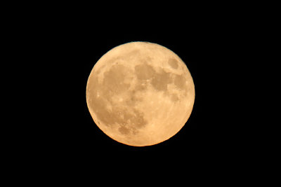 Full Buck Moon