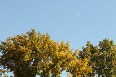 October Moon