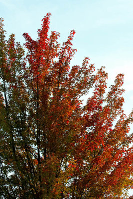 Changing Color