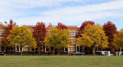 Color Row