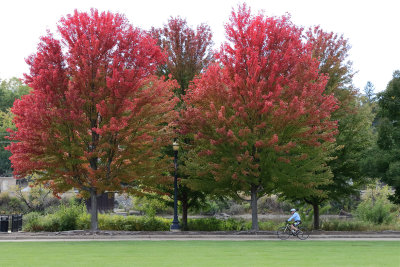 Riding into Autumn