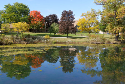 Fall Reflections