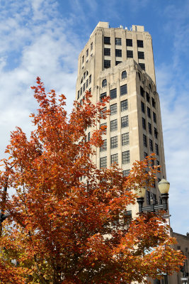 Fall at the Tower